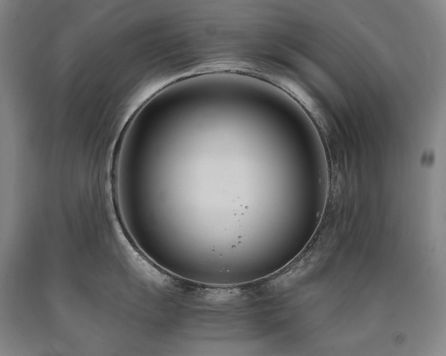 X0000090921055200707301529