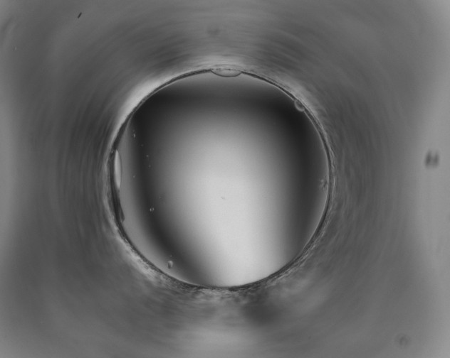 X0000090921056200707301529