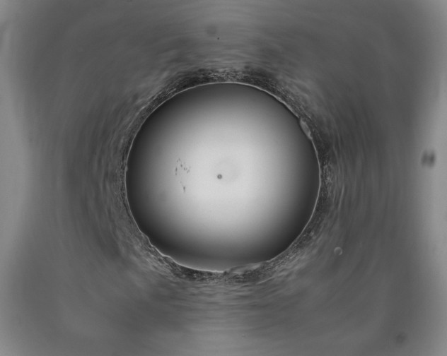 X0000090921057200707301528