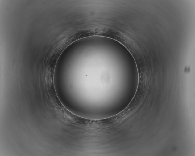 X0000090921058200707301528