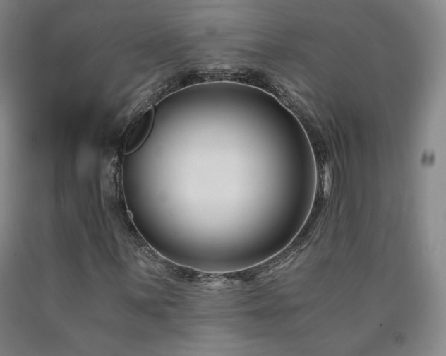 X0000090921059200707301528