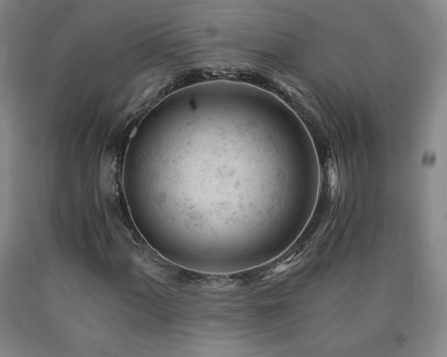 X0000090921060200707301528