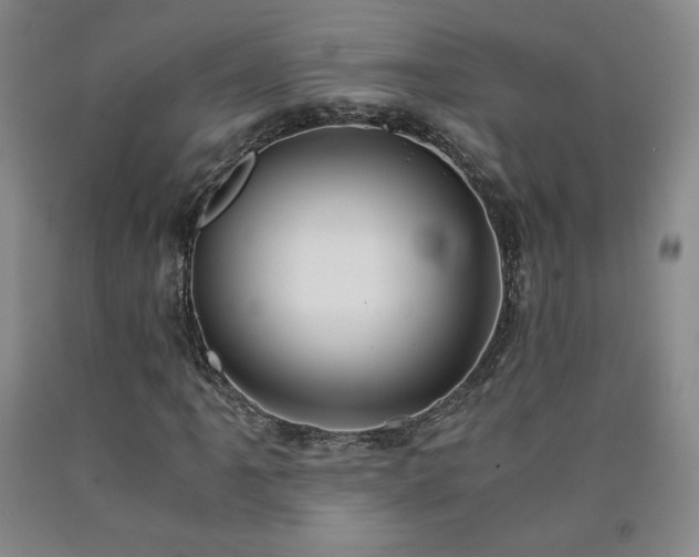 X0000090921061200707301528