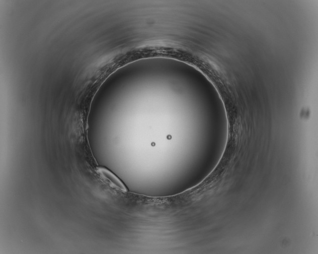 X0000090921062200707301528