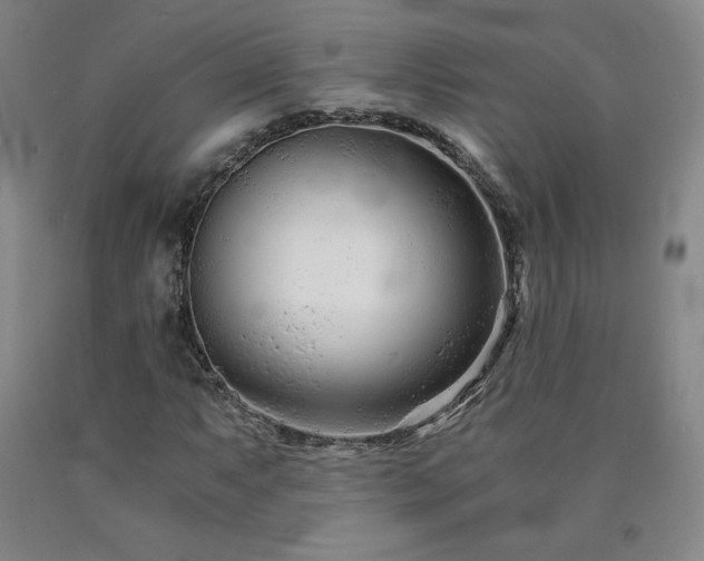 X0000090921063200707301528