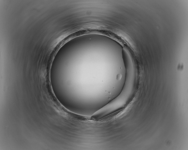 X0000090921065200707301528