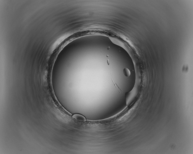 X0000090921066200707301528