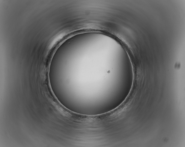 X0000090921067200707301528