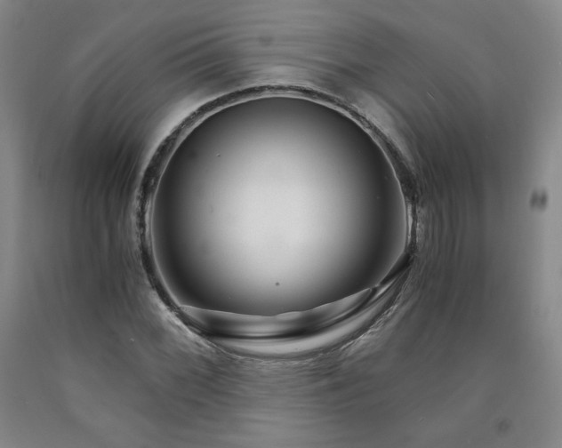 X0000090921068200707301528