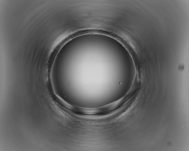 X0000090921069200707301528