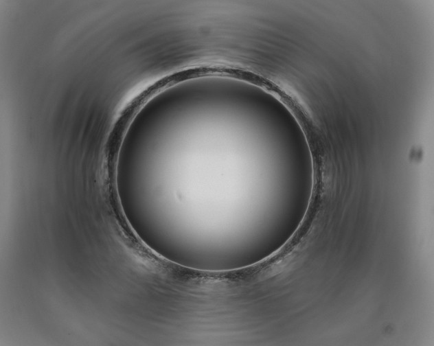 X0000090921070200707301528