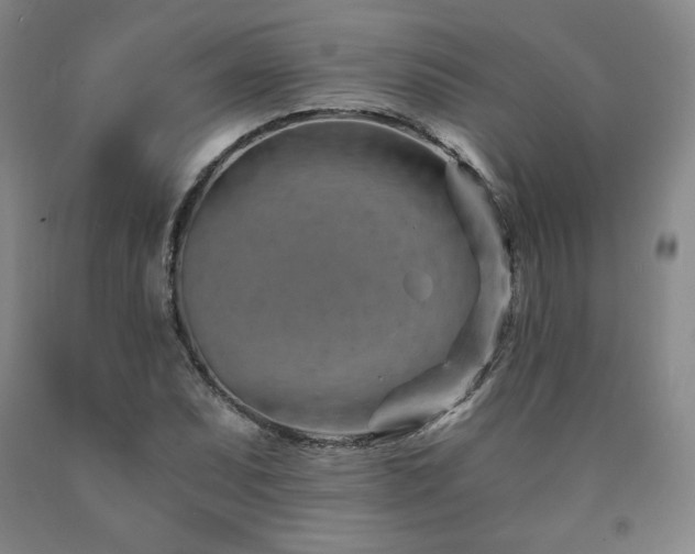 X0000090921071200707301528