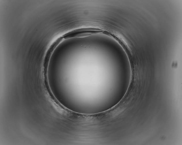 X0000090921072200707301528