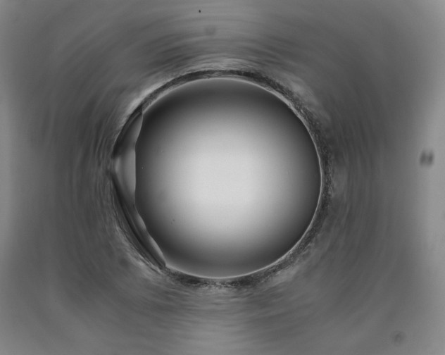 X0000090921073200707301528