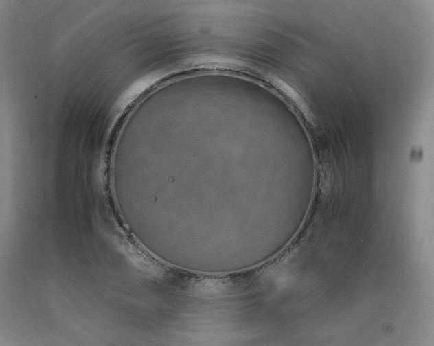 X0000090921074200707301528
