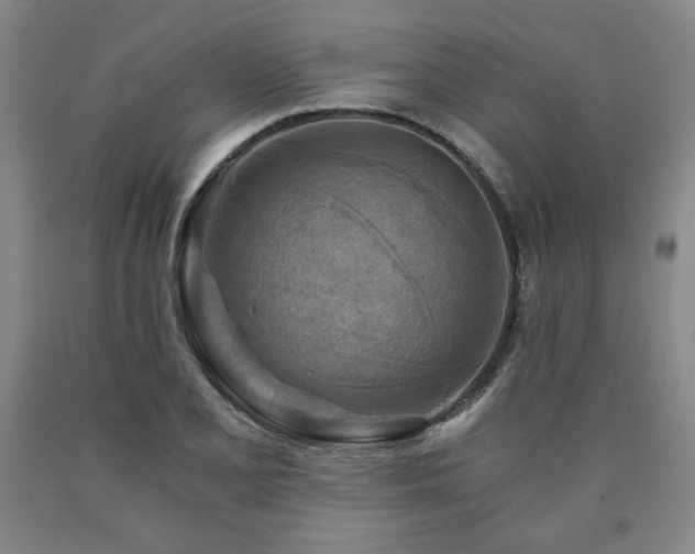 X0000090921077200707301528