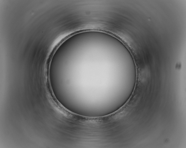 X0000090921078200707301528