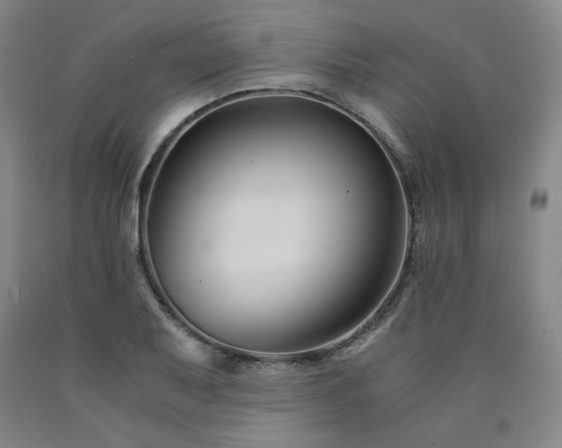 X0000090921079200707301528
