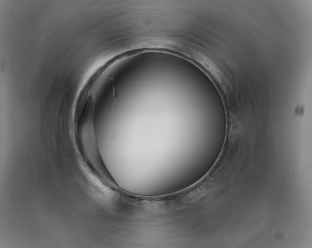 X0000090921080200707301528