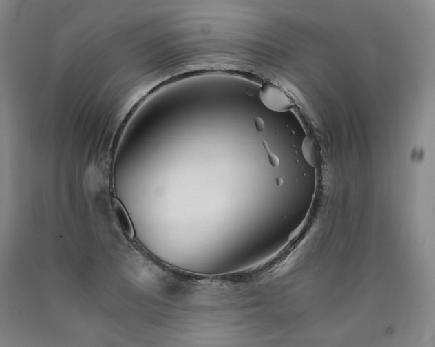 X0000090921081200707301528