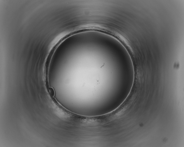 X0000090921082200707301528