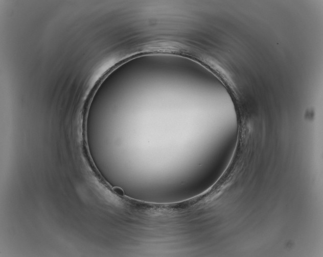X0000090921083200707301528