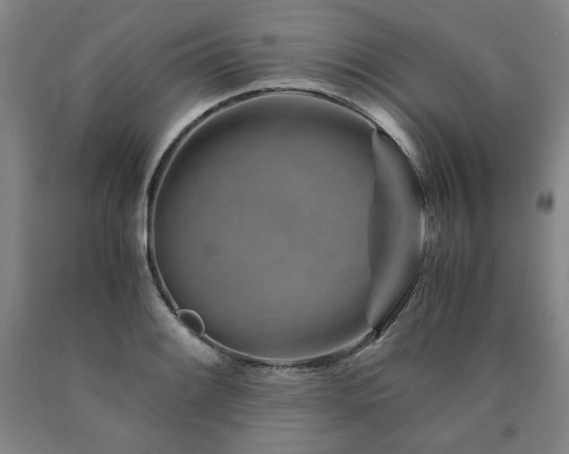 X0000090921084200707301528