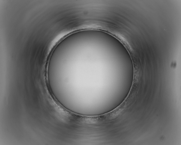 X0000090921086200707301528