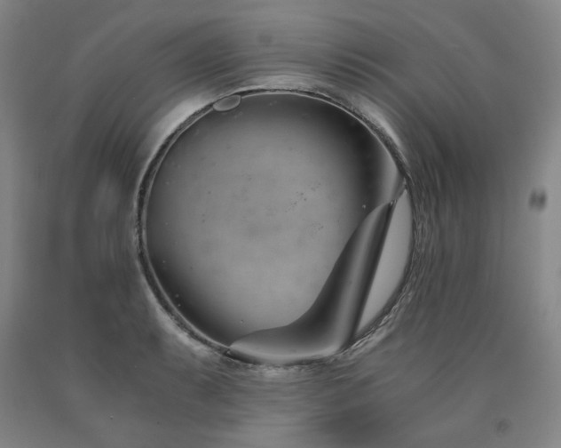 X0000090921087200707301528