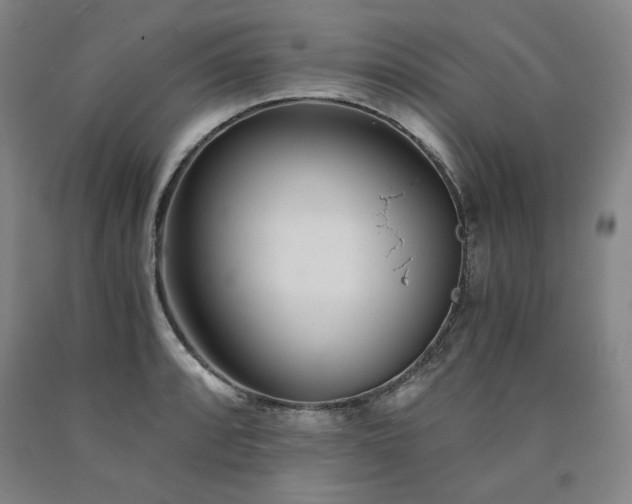 X0000090921088200707301528