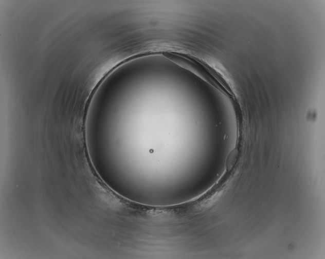 X0000090921089200707301528