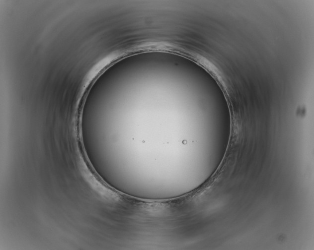 X0000090921090200707301528