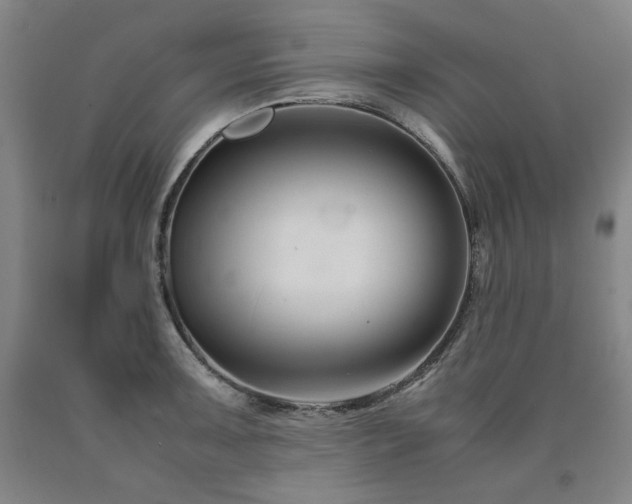 X0000090921091200707301528