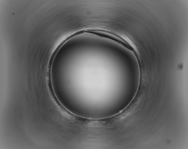 X0000090921093200707301528