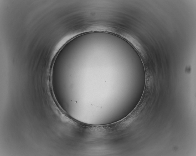 X0000090921094200707301528