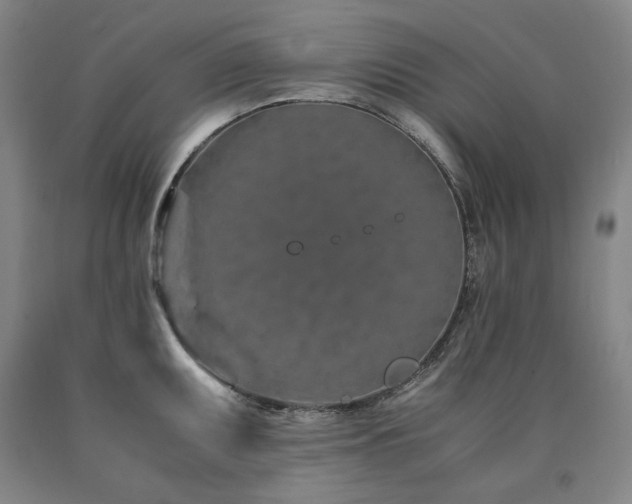 X0000090921095200707301528