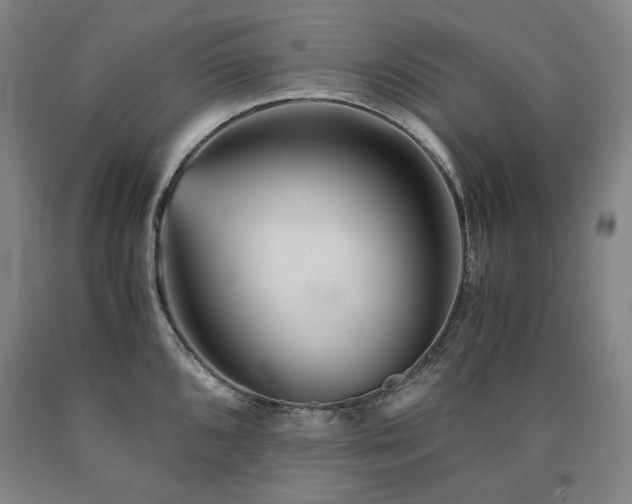 X0000090921096200707301528