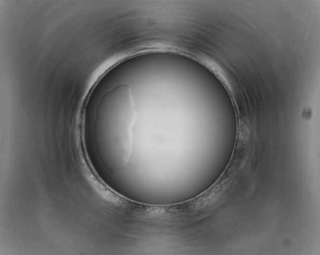 X0000090921098200707301528