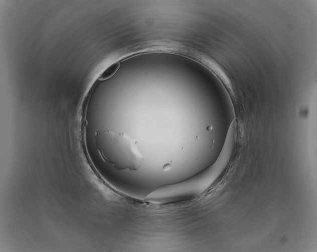 X0000090921099200707301528