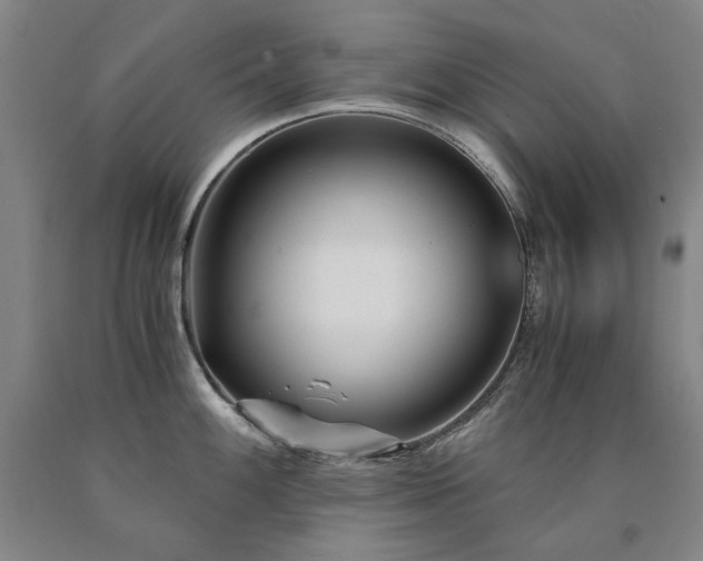 X0000090921100200707301528