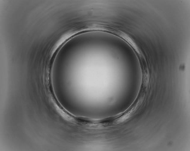 X0000090921101200707301528