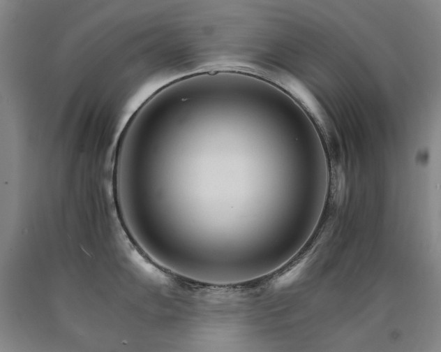 X0000090921102200707301528