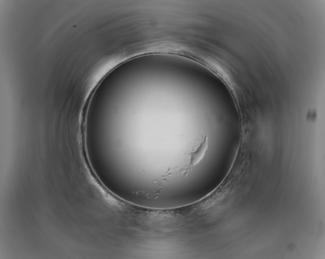 X0000090921103200707301528