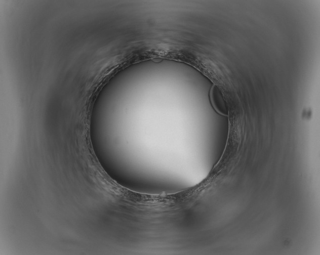 X0000090921105200707301527