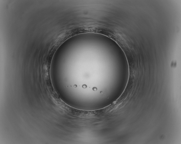 X0000090921106200707301527