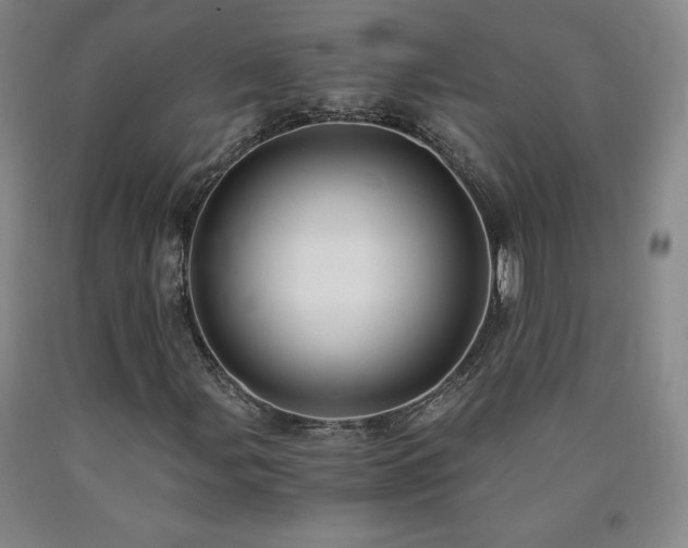 X0000090921107200707301527