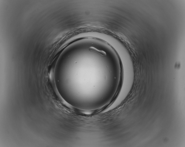 X0000090921110200707301527