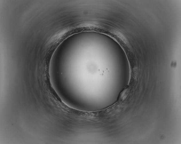 X0000090921111200707301527
