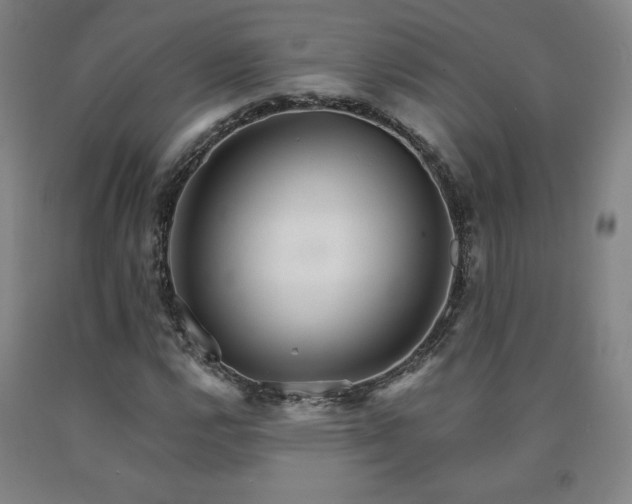 X0000090921112200707301527