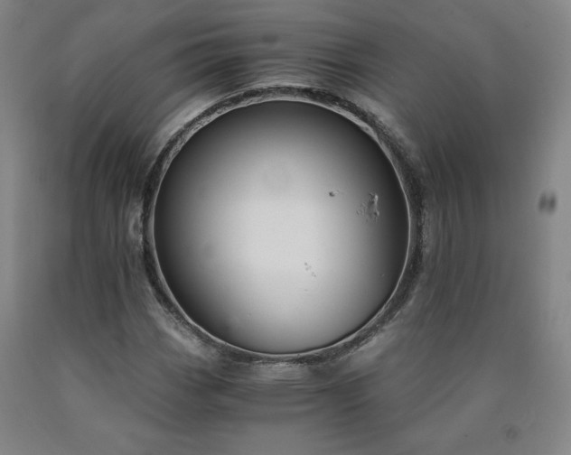 X0000090921113200707301527